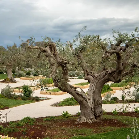 Resort Trulli Damari *